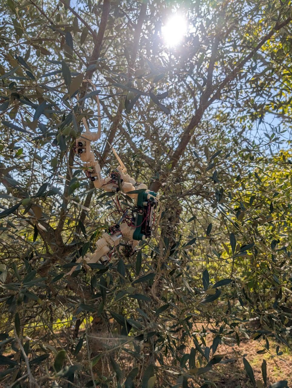 Gibbon Bot mk1 branch attachment demonstration