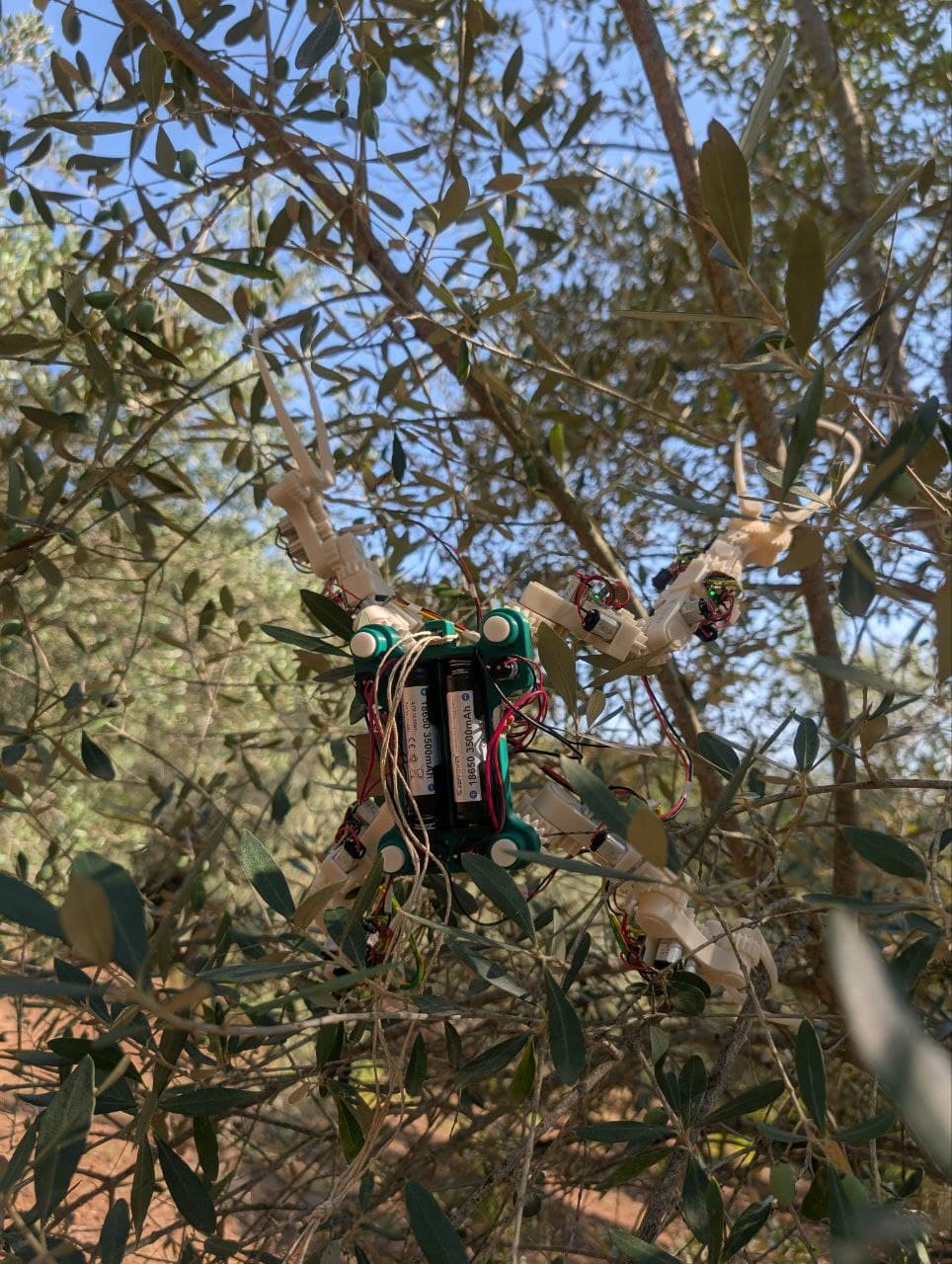 Gibbon Bot mk1 sensor integration testing