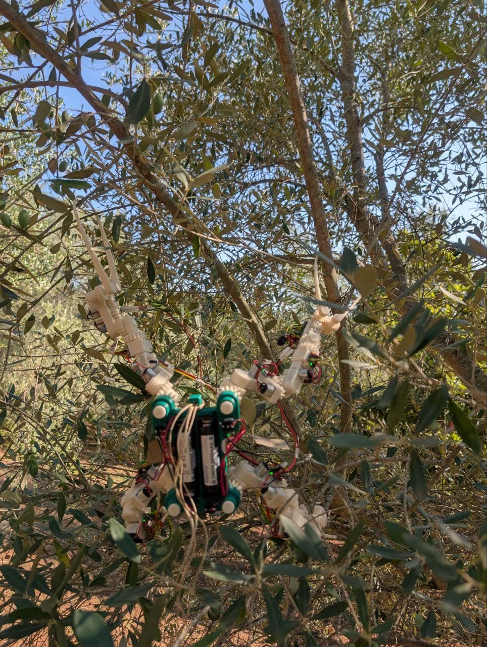 Gibbon Bot mk1 modular design showcase