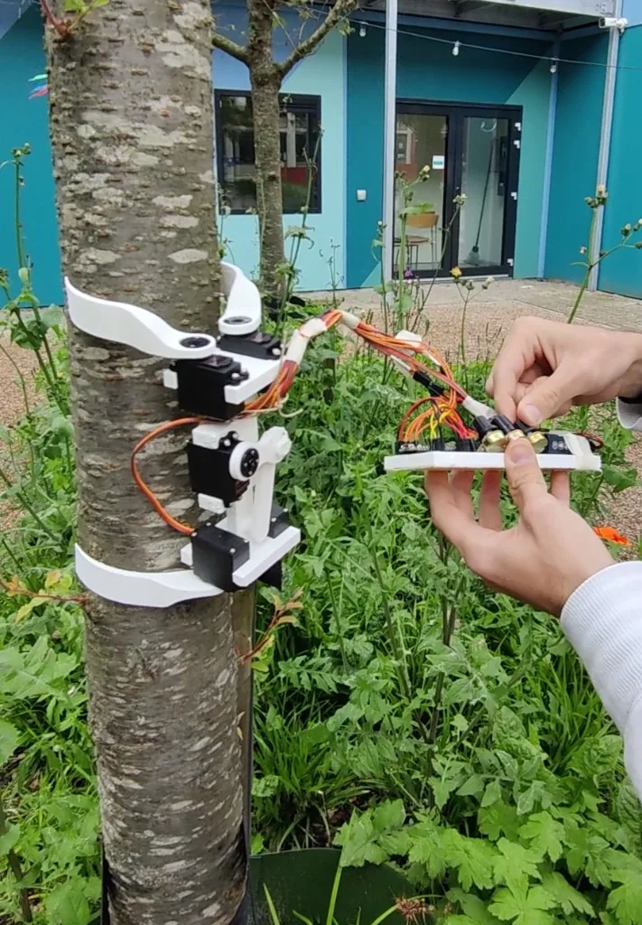 White 3D-printed bioplastic trunk climber on a tree at VU StartHub, two gripper pairs, June 2024