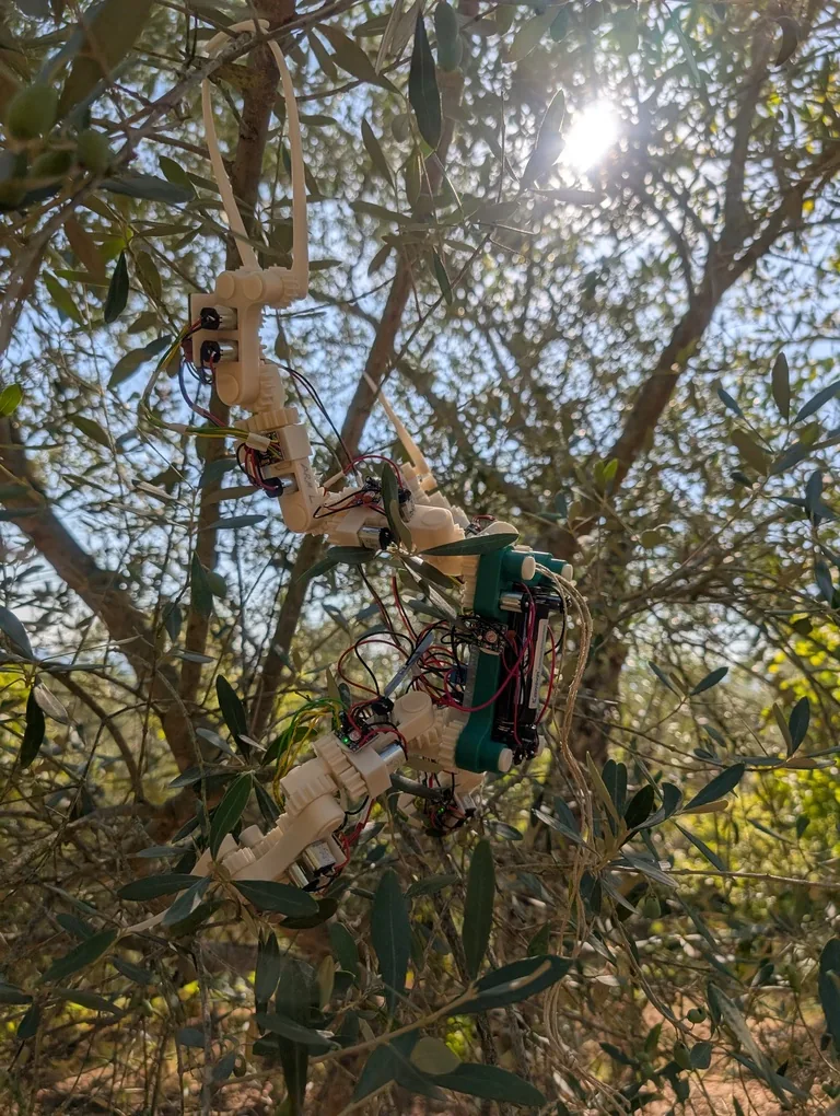 Gibbon Bot mk.1 side view in olive branches, August 2025