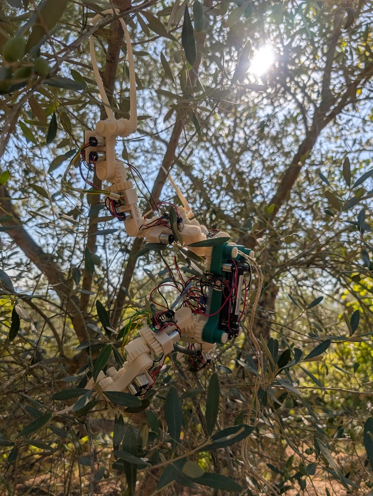 Gibbon Bot side view showing tree canopy navigation robot