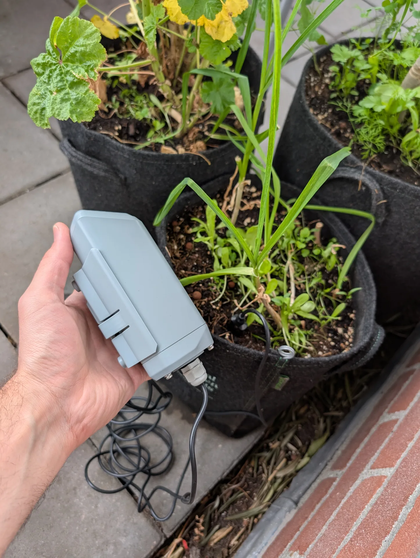 Outdoor sensor enclosure in grow bags