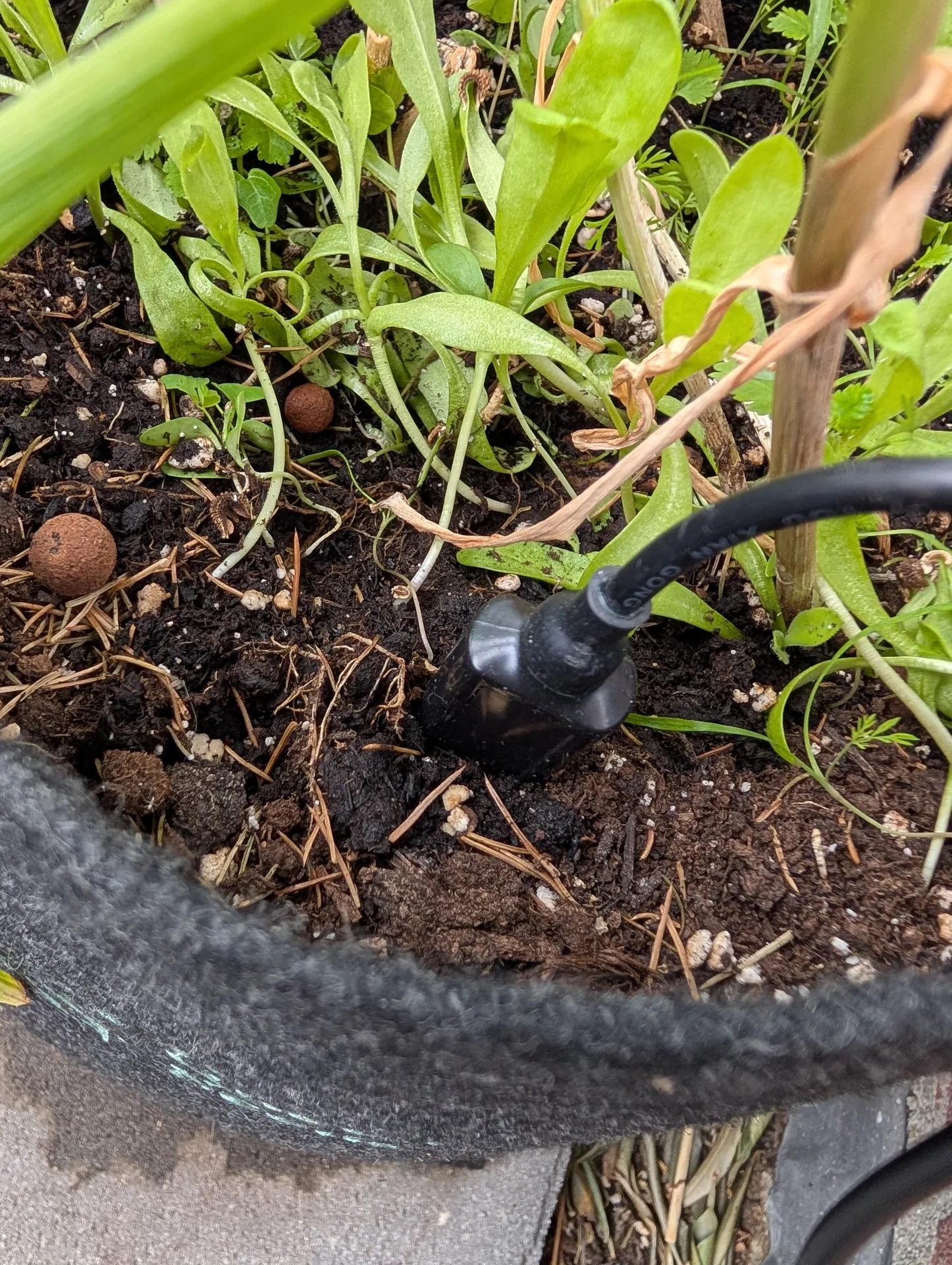 Soil probe in a grow bag
